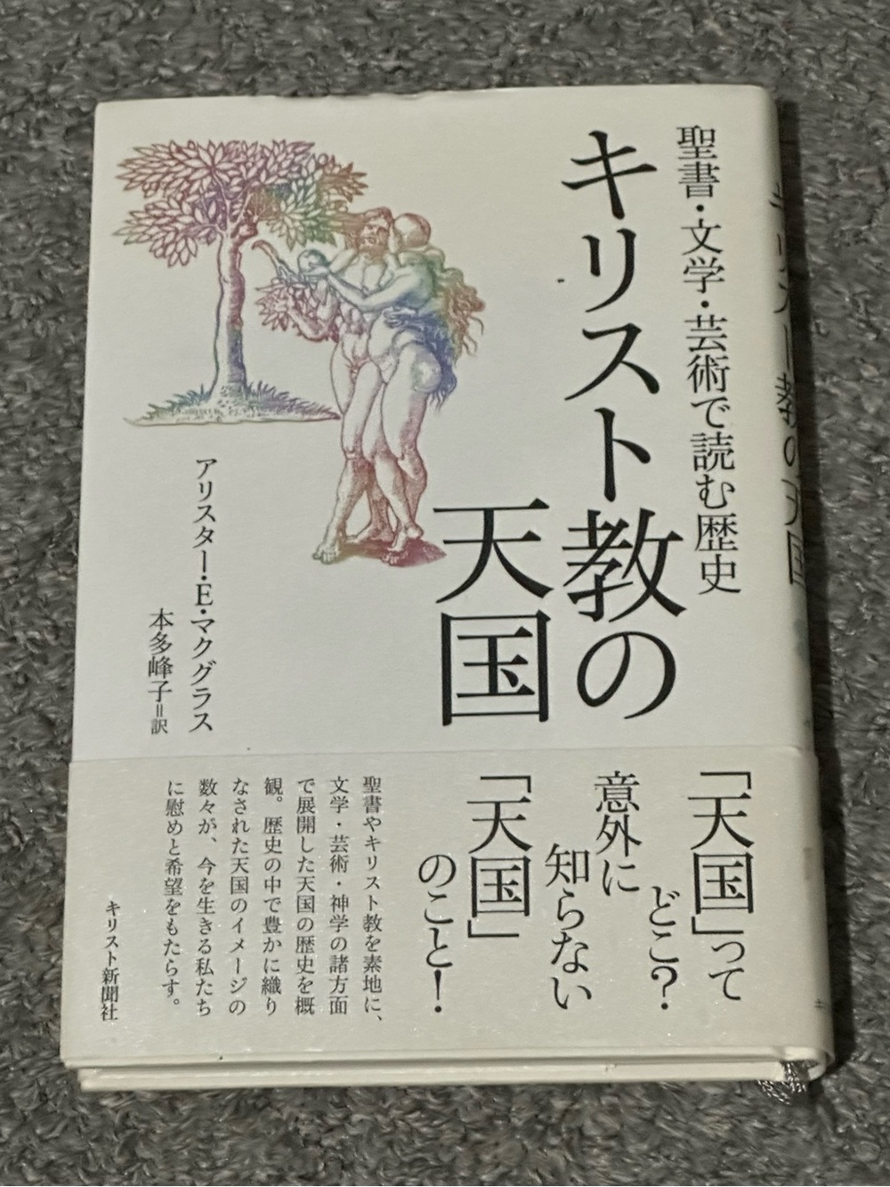 Christian Heaven JAPANESE History Bible McGrath Mineko Honda 2006 HC Church Book